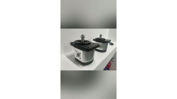 Rexroth original gear pump gear motor