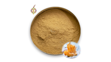 High-Quality Organic Cordyceps Militaris Extract Powder: Packed with 98% Cordycepin for Enhanced Medicinal Benefits1