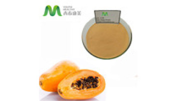 Chinese Manufacture Organic Carica Papaya Extract Powder Papain 4:11