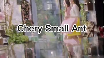 New energy pure electric vehicle small ant