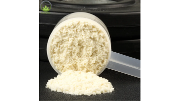 Whey Protein Powder