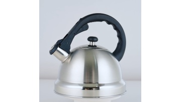 Stainless steel nylon handle water kettle