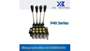 P40 Monoblock valve