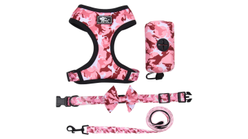 dog collar and harness set