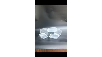 Transparent PP Food Container