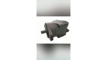 M4CM4SC Series Vane Motors