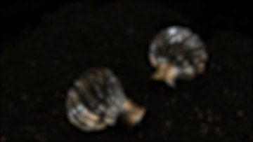 A134