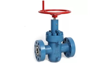    WKM valve