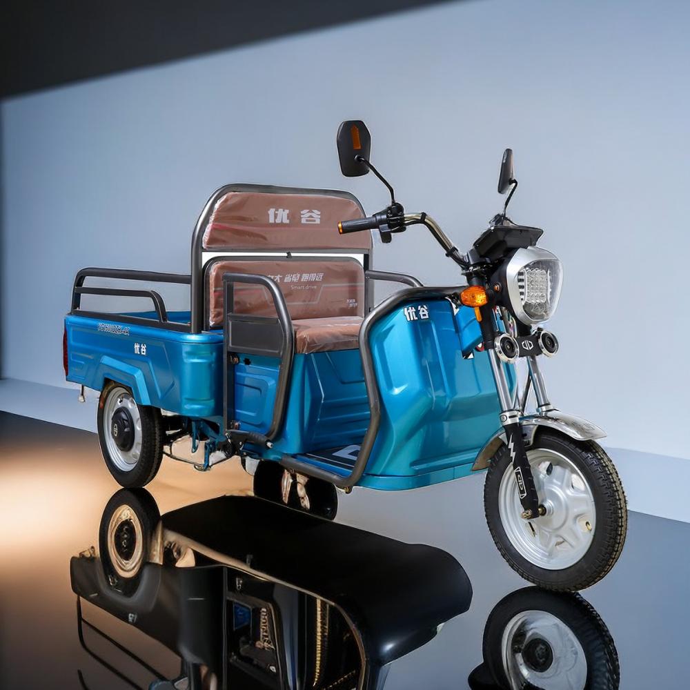 Electric Utility Vehicle