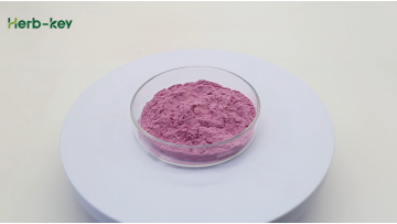 Pitaya Powder