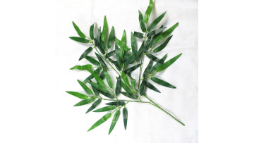 plastic plant