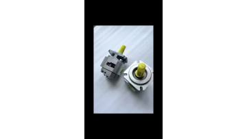 PGF1-2X Internal Gear Pump rexroth