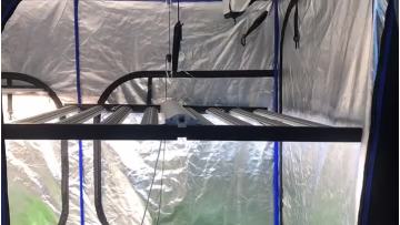 1000W Samsung grow light