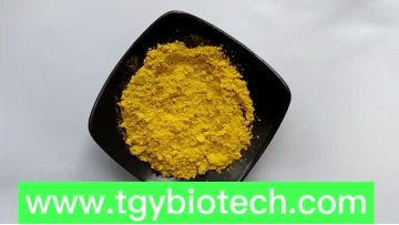 Green Tea Extract Tea Polyphenols
