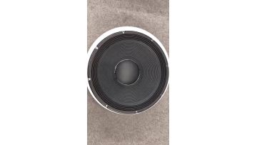 RCF Full Range Super Subwoofer15 Inch 