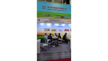 VIDEO FOR MY COMPANY