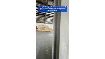 Video 49