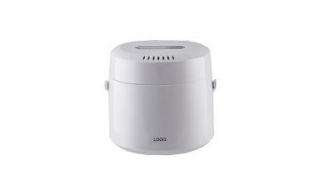 Facial SteamerZJ-6180