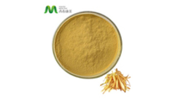 OEM Supplement Boesenbergia Rotunda Powder Finger Root Extract 100% Natural From Thailand1