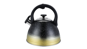 New stainless steel stove-top kettle FH-689BY
