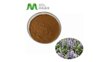 Halal Approved Bulk Organic Turkesterone Powder1