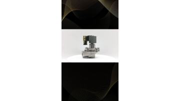 3/4'' Goyen Type Pulse Jet Valve CA20T010-305 24V