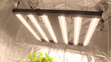6bar grow light