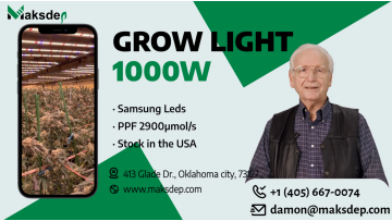 6x4ft 1000w grow light  in USA