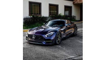 PET Metal Midnight Purple
