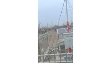 Solar bug situation