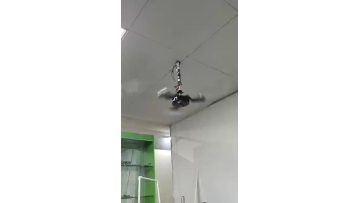 fan light