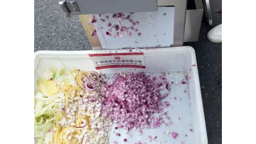ST-Q302 Onion Dicing Machine