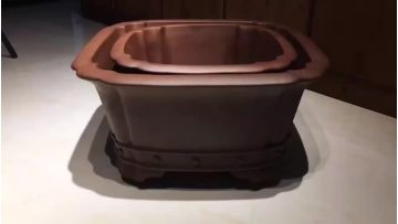 Purple Clay Flowerpot 2