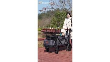 2-Seater Wagon:Toddler & Baby