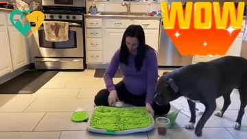 dog snuffle mat