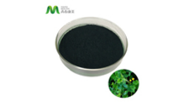 Chlorophyll Manufacturer Supply Chlorophyll Ketone Sodium Salt Natural Green Sodium Copper Chlorophyllin 95%1