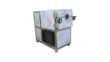 Corn Kernels Freeze Drying