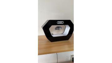 Levitation display case