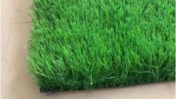 full green landscape grass0601