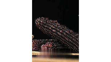 Chocolate - Flavored Fresh - Eating Corn