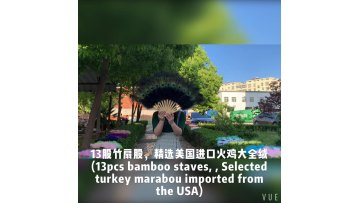 Wholesale 13Bones 90*50cm Large Size Black Ostrich Feather Fans For Dancing1