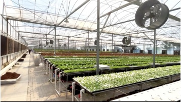 Plant Factory