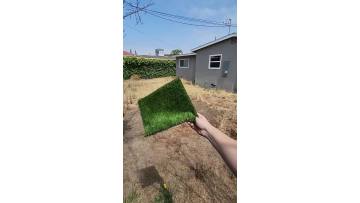 Artificial grass effect（1）