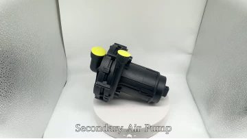 BJ-9202 Secondary Air Pump