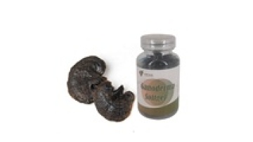 Top Selling Reishi Mushroom Ganoderma Spores Extract Powder Capsules: A Comprehensive Guide1