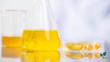 Ganoderma lucidum spore oil