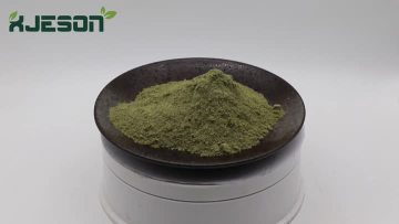 Mulberry Leaf Extract Powder
