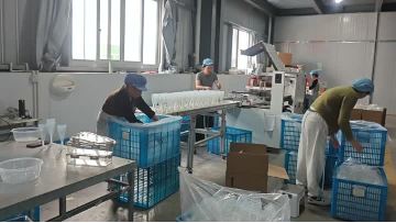 Ruibote Plastic – Cleanroom Packaging Workshop Tour