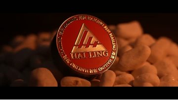 Quick Look at Hailing Company & Product Highlights