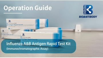 Influenza A&B Antigen Rapid Test Kit Operating Ins